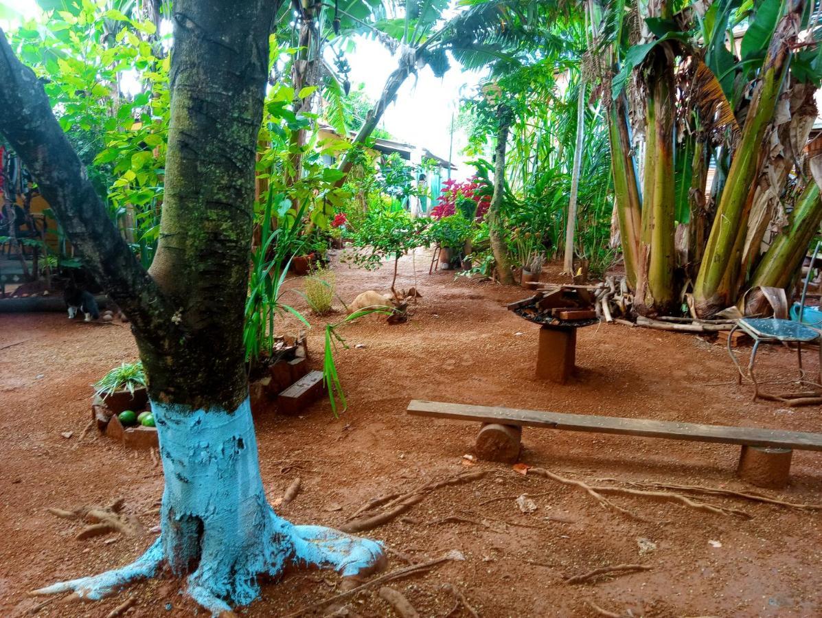 Chapada Alta - Chapada Dos Veadeiros
