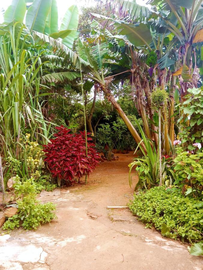 Chapada Alta - Chapada Dos Veadeiros *